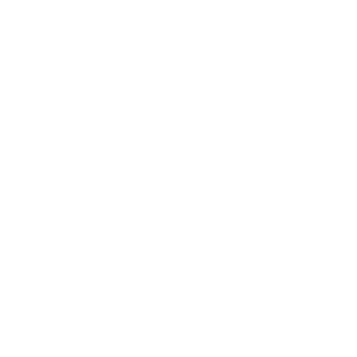 Raffles Consulting Services